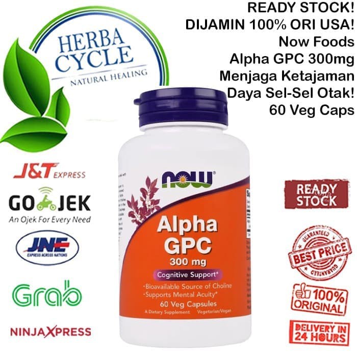 Now Foods Alpha GPC 300mg 60 Veg Cap Untuk Ketajaman Otak ORI USA Now Alpha GPC 300 Mg