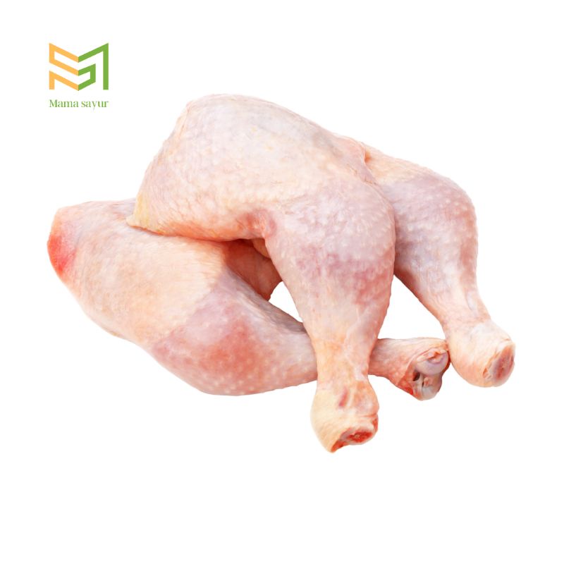 

Paha ayam segar per pack