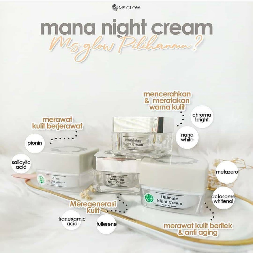 Ms Glow Night Cream BPOM Cream Malam Wajah Krim Pemutih Jerawat Flek