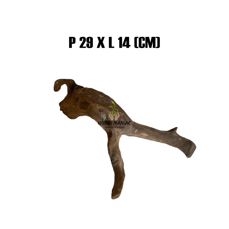 Hardscape Kayu Aquascape Santigi Gunung P 29 X L 14 CM