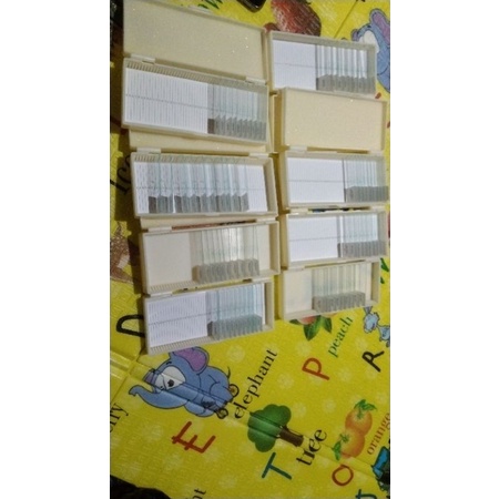 preparat Anatomi Tumbuhan 1set isi 6pcs(termurah)