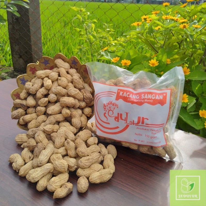 

Kacang Goreng Sangrai Pasir, Oleh Oleh Khas Solo, Cemilan Murah Sehat Kemasan 150gr