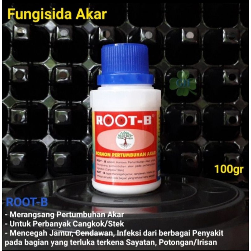 ROOT-B Hormon Pertumbuhan Akar 100Gr