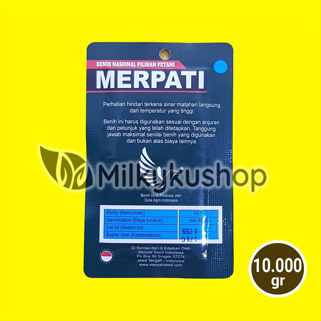 BENIH MERPATI SEED RED OLIVE BAYAM MERAH 10000 BIJI KEMASAN PABRIK