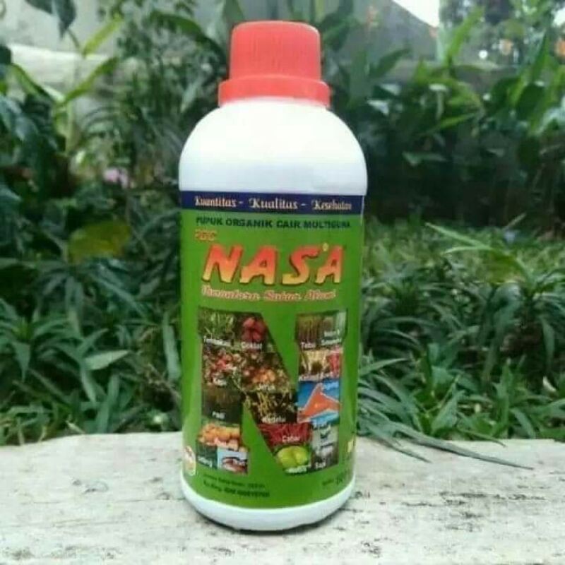 Pupuk pelebat buah (Nasa)
