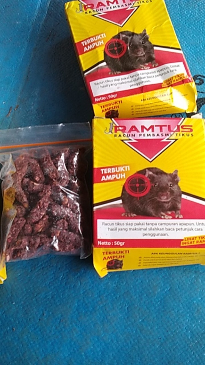 Ramtus Racun Tikus Ampuh Mati Kering Tidak Bau Pembasmi Curut Wirog Mencit Dirumah Di Mobil 6 Pack