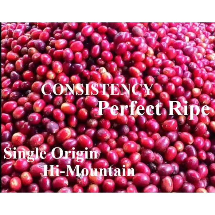 

ds011css Green Bean Malabar Wine Natural Proses Harga Per Kilo Ds20X11