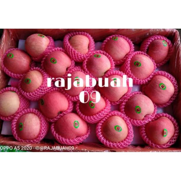 

N3w Pr0duk BUAH APEL FUJI 1KG Manis dan Renyah C0de@l#h1 Kekini1an