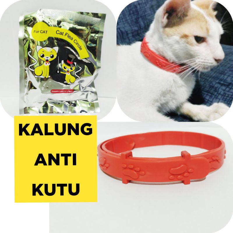 KALUNG ANTI KUTU