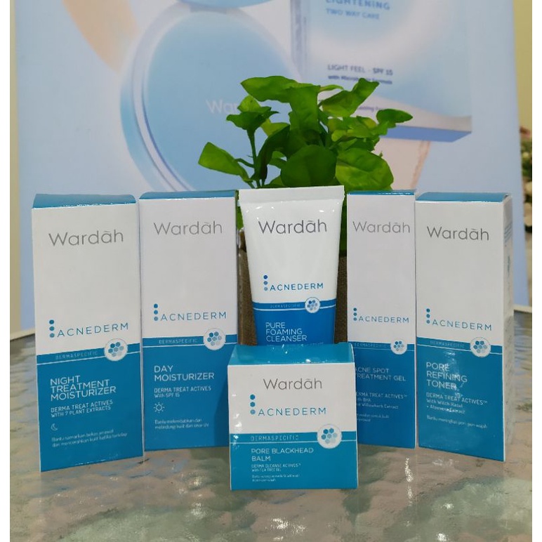 Wardah Paket Acnederm