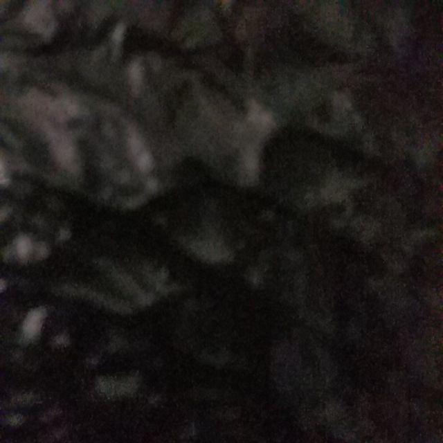 Planter Bag 100 Liter (50x50)