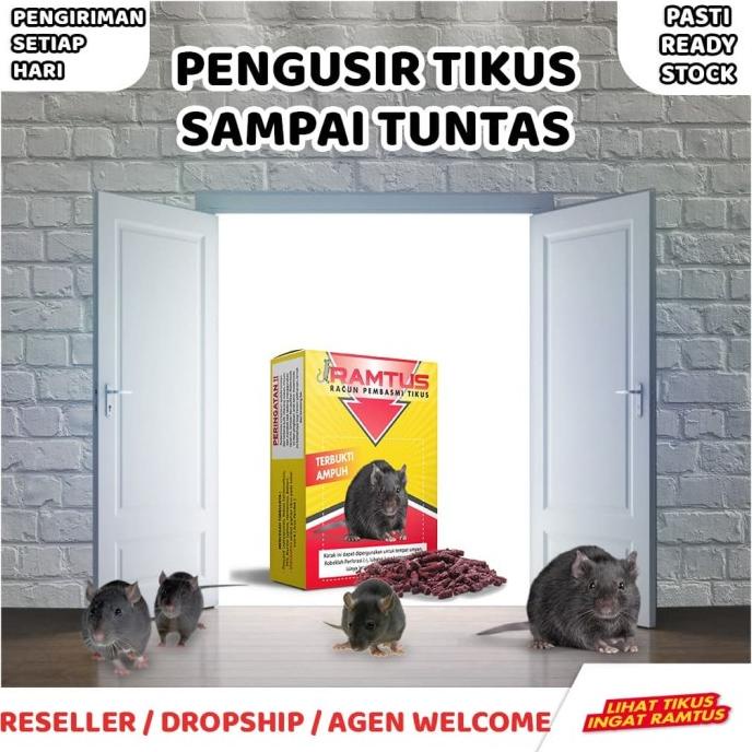 RAMTUS Umpan Racun Jebakan Perangkap dan Pengusir Tikus Paling Ampuh