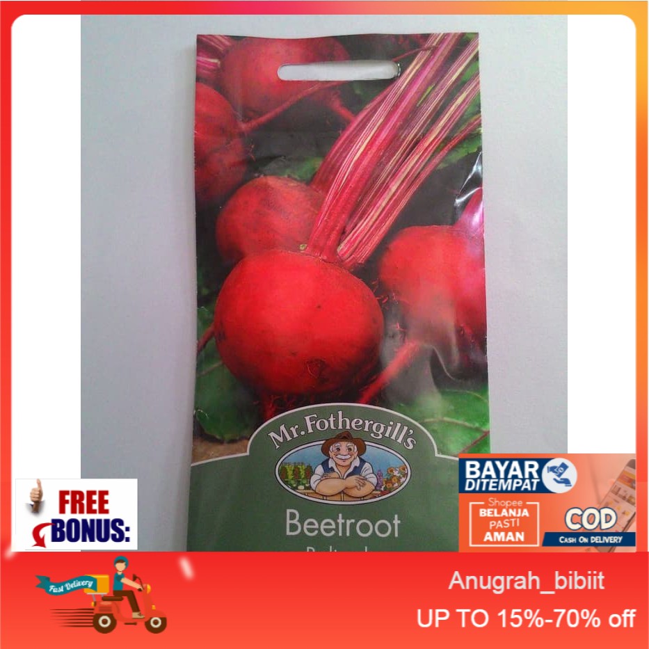 Benih / Biji Buah(Umbi) Bit BEETROOT BOLTARDY, Mr.Fothergills ASLI