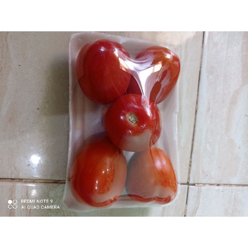 

tomat merah segar 250gr