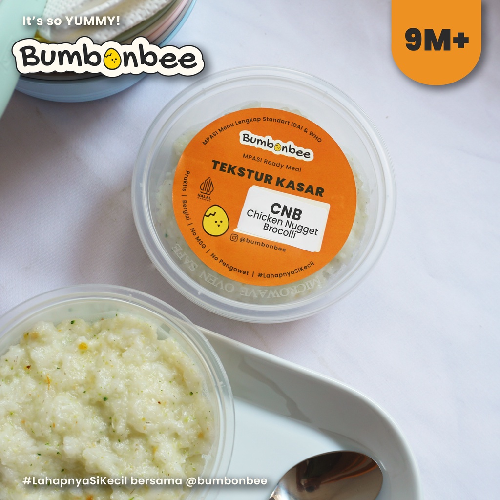 BUBUR MPASI 6-12 BULAN READY/ BUBUR MPASI HOMEMADE/MPASI MENU LENGKAP