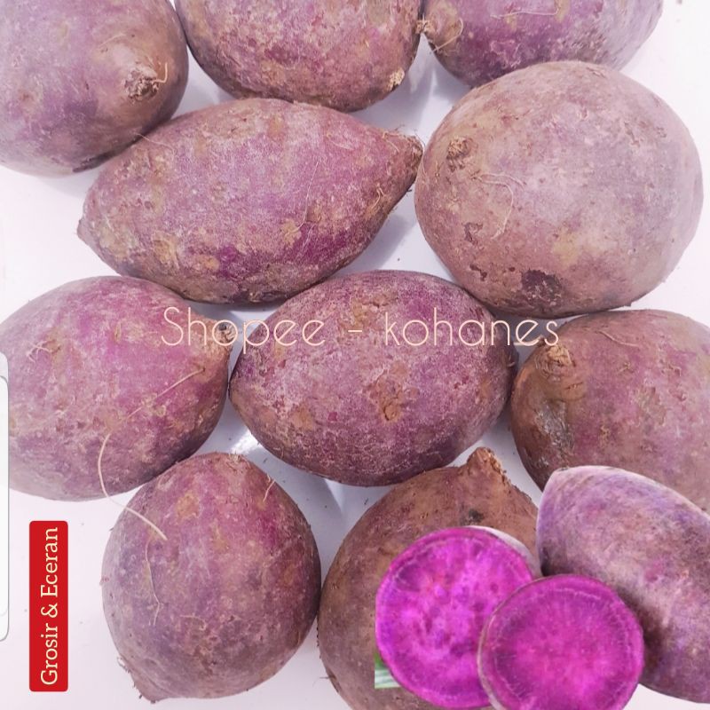 

UBI UNGU ( ORIGINAL ) SUPER KUALITAS 1 KG FRESH