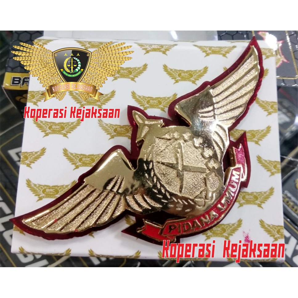 WING KEJAKSAAN PIDUM | PIDANA UMUM