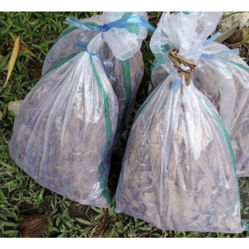 Jangkrik (TiDAK BISA COD ya    ) Genggong Kalung  Hidup 1/2 kg TIDaK bisa COD/ pakan Burung Ikan Rep