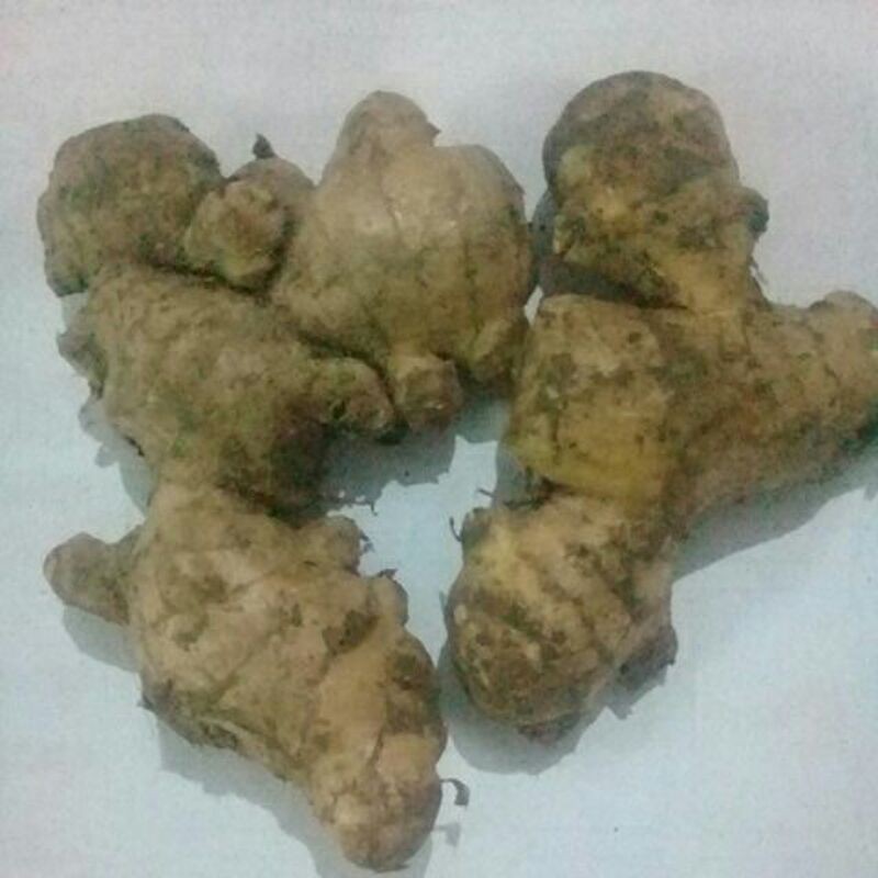 

Jahe lokal
