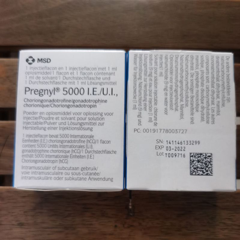 Hcg IU 5000 pregnyl vitamin utk ikan louhan