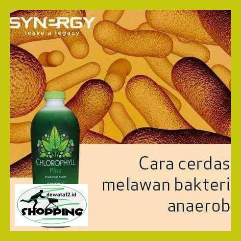 

Obat Herbal- Promo Obat Herbal Sembelit / Ambeyen / Wasir Banyak Testimoni 6Eruio46-