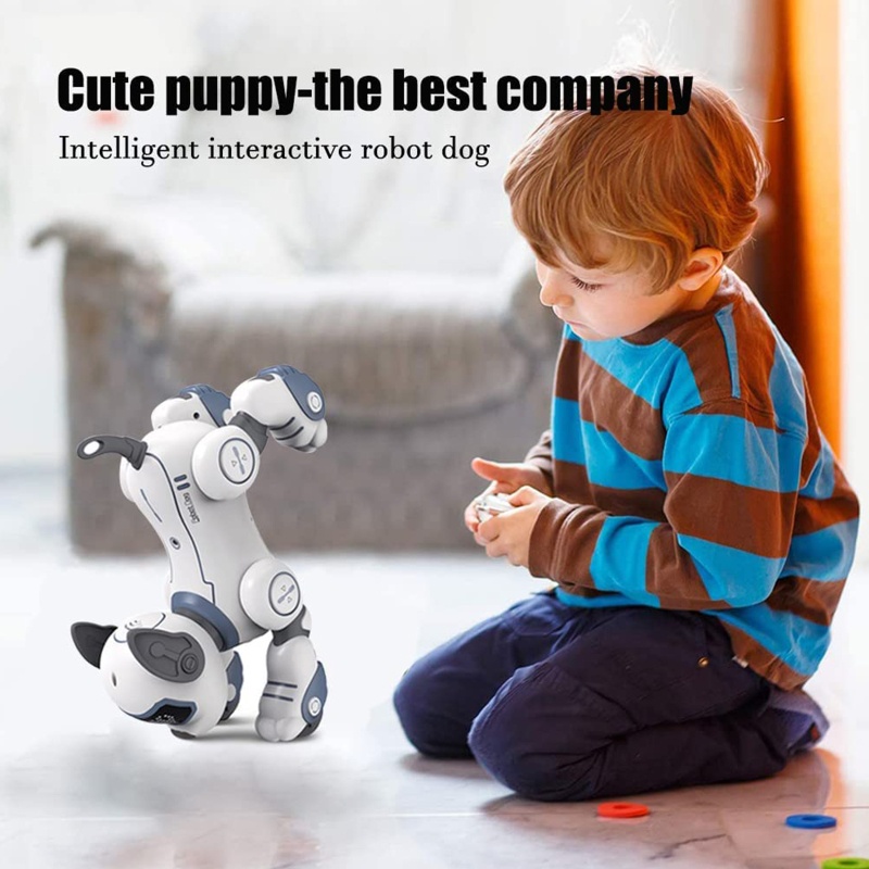 Mary RC Robotic Stunt Puppy Programmable Stunt RC Puppy Interaktif Dengan Komando