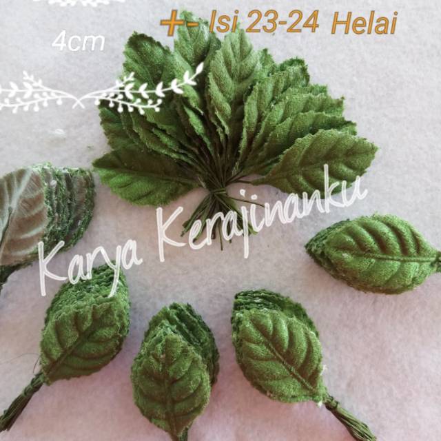 Daun Bludru PER IKAT