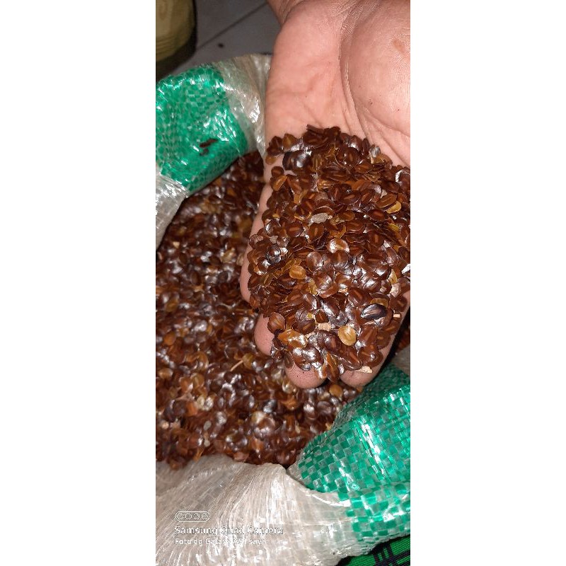 1 kg biji juwar / johar