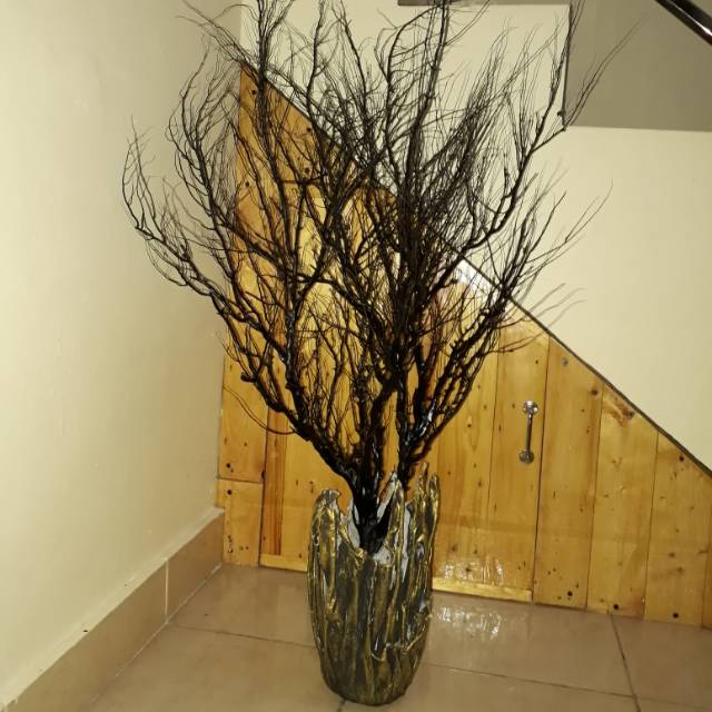 hiasan pohon akar bahar hitam unik - akar bahar unik