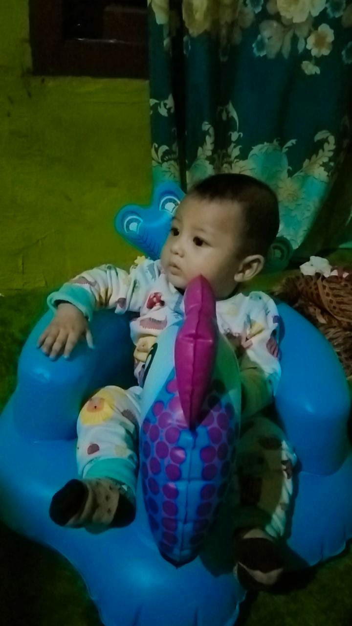 Kursi Sofa Angin Karakter Burung Merak Bahan Pvc Baby Chair Bisa Tiup/pompa Best Quality