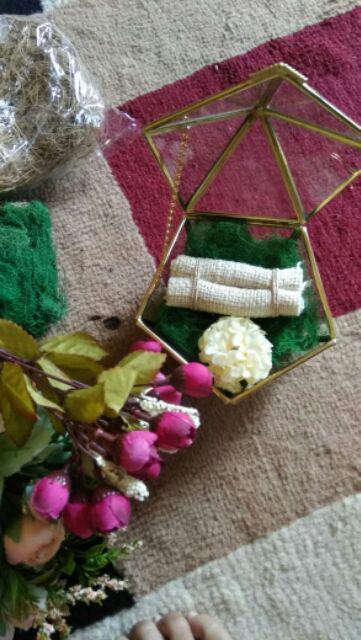 Rumput Kayu Angin Hijau 20gr