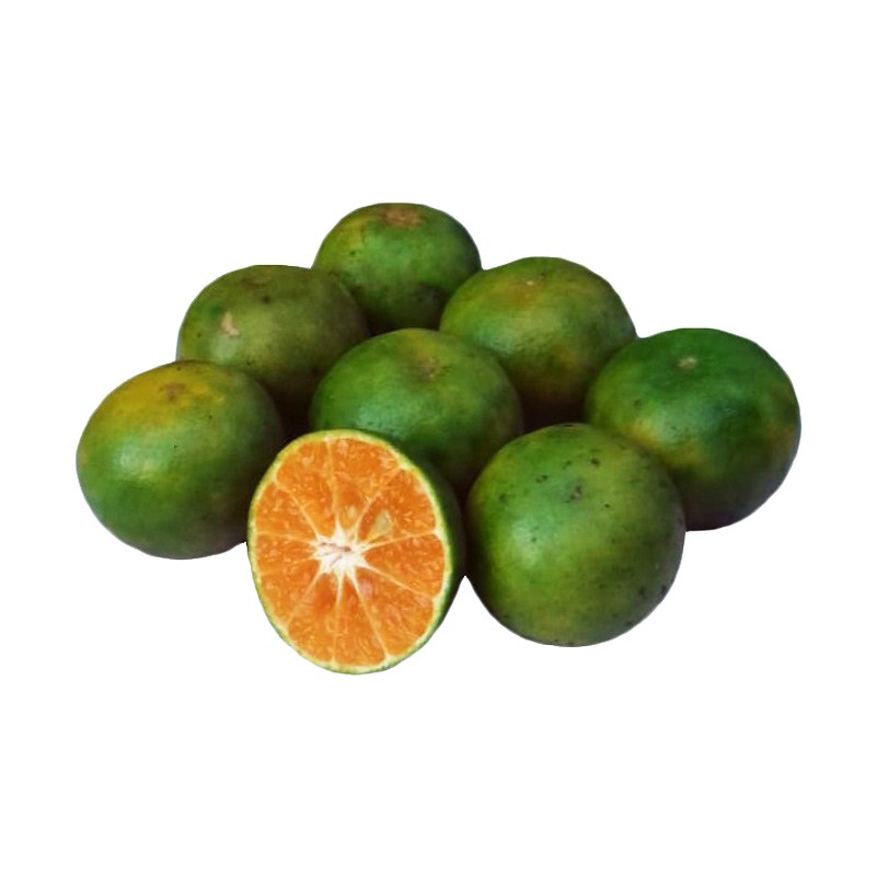 

DUTA BUAH Jeruk Pontianak AB (+-900g-1kg)