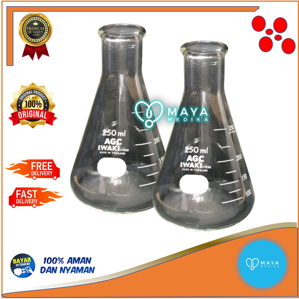 Erlenmeyer / Iwaki / 250 ml