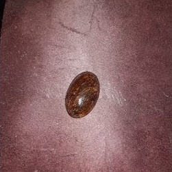 Mata Cincin Genter Katilayu Asli Cirebon siap naik ring