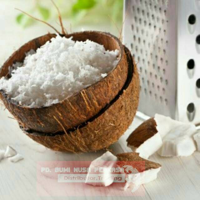 

Kelapa Parut Segar - 1 Butir Kelapa
