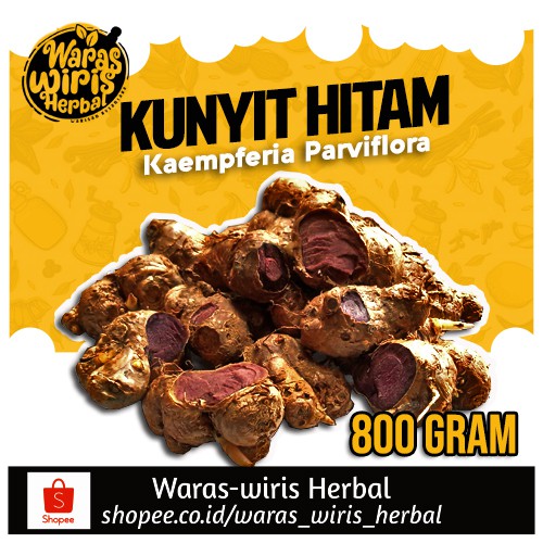 Rimpang Kunyit Hitam 800 Gram ( Kaempferia Parviflora )