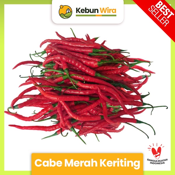 

Cabe Merah Keriting | Curly Chili 1kg