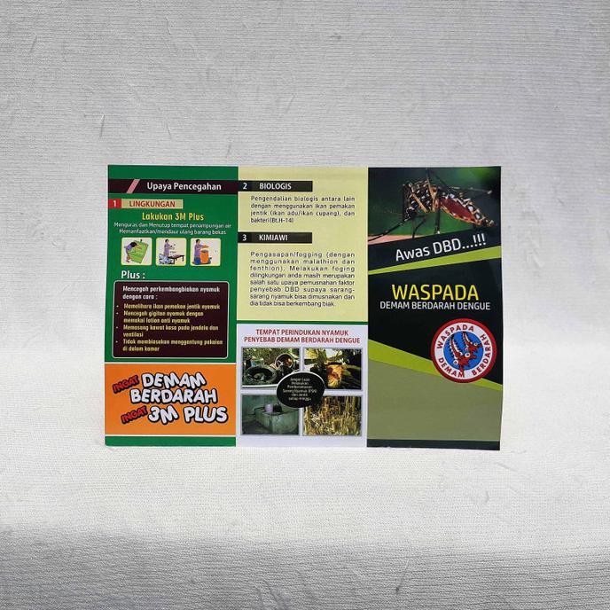 Leaflet / Brosur DBD Demam Berdarah - Paket Isi 25 TERLENGKAP