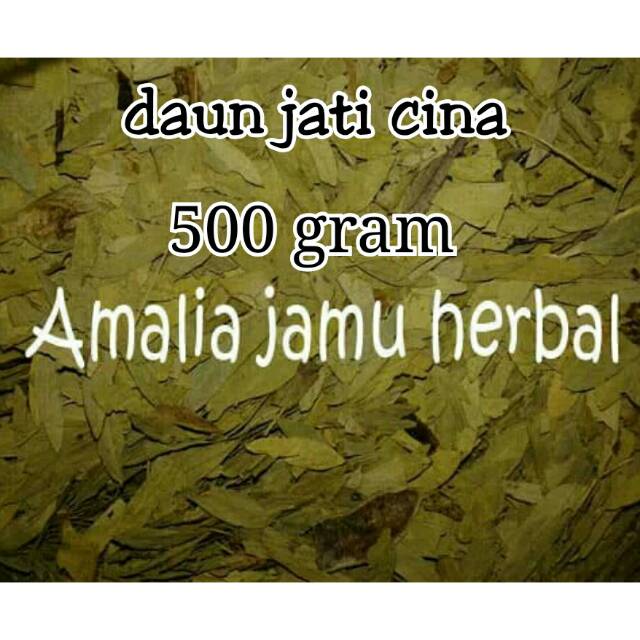 

Daun jati cina 500gram