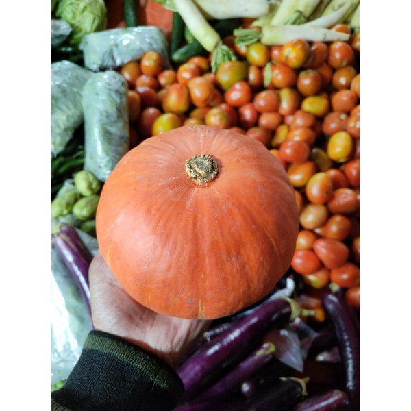 

Labu Jepang Kabocha