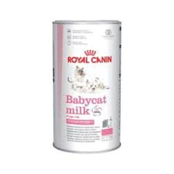 Royal Canin Babycat Milk 300gr 300 gr Susu Baby Cat Anak Kucing Kitten