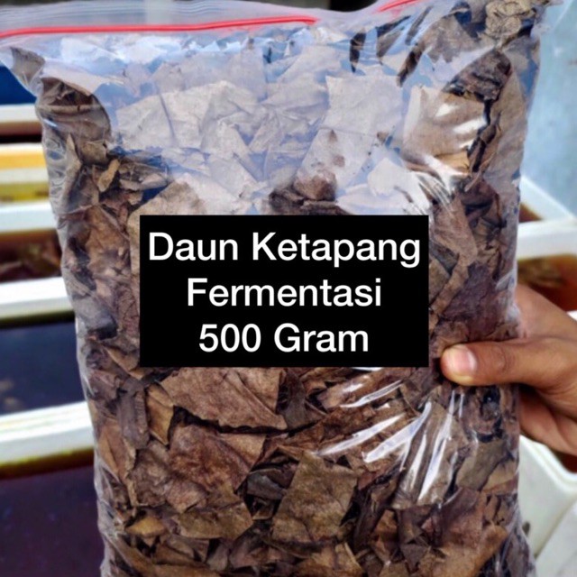 DAUN KETAPANG LAUT OLAHAN KEMASAN 500 GRAM