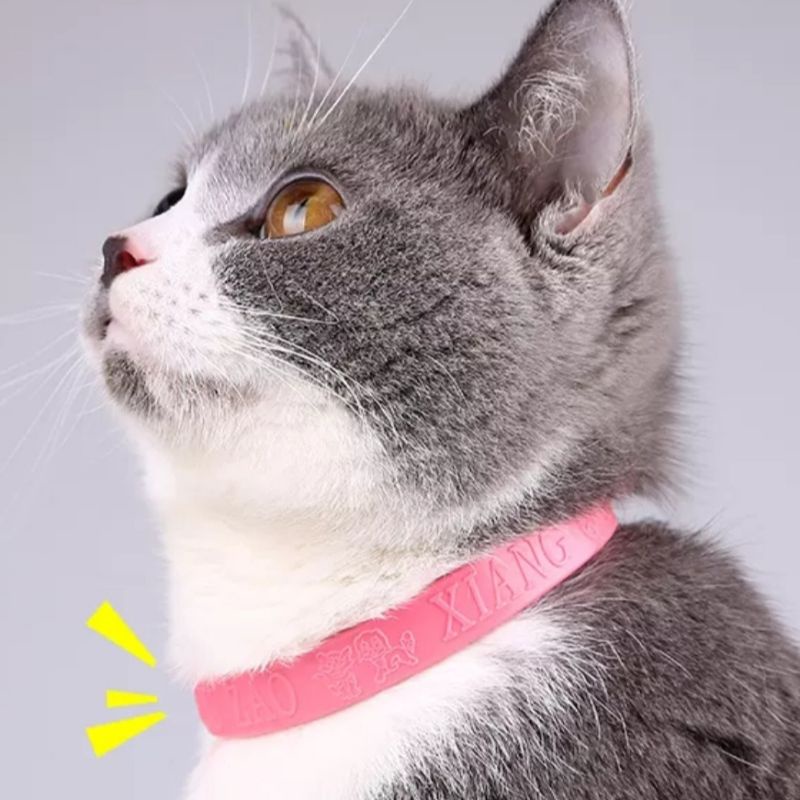 Kalung Kucing Anti Kutu Anti Tungau | Anti Flea Pet Collar