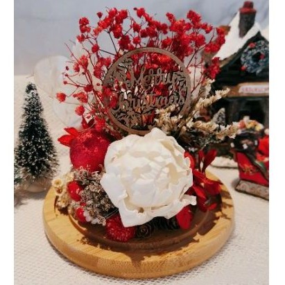 

Christmas Dome - Holly Joy | Christmas Gift | Hadiah Natal