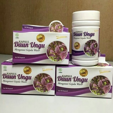 Kapsul Herbal Daun Ungu Ash-Shihah Mengatasi Gejala Wasir / Ambeien