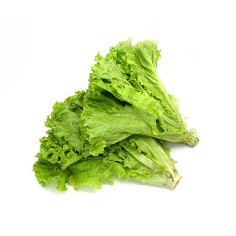 

seladabokor/seladakeriting250gr