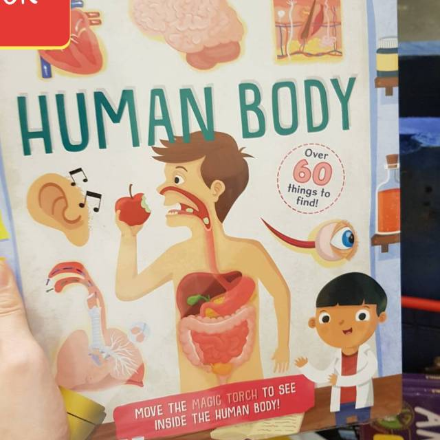 Human body