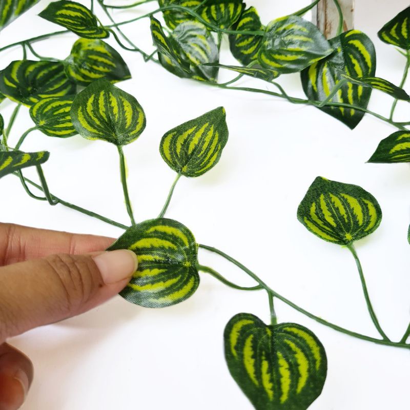 Daun Rambat Hias Dekorasi Rumah Srigading dan Daun Semangka Artificial