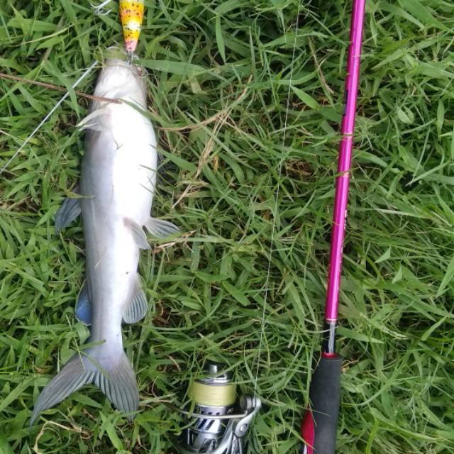 Relix Nusantara Cangkek Pink 762 UL