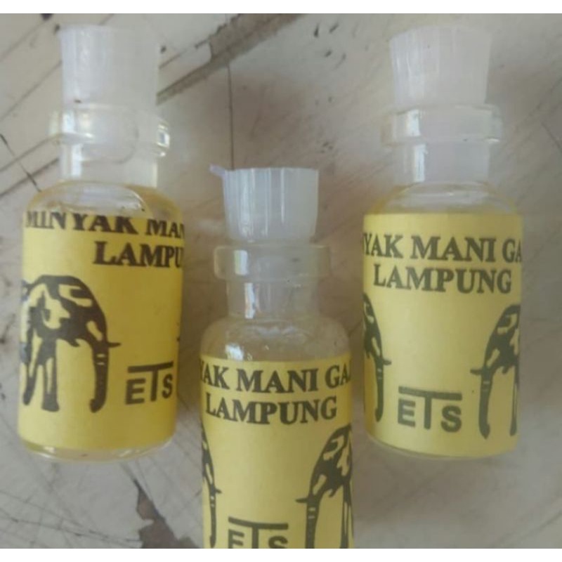 minyak mani - gajah - lampung